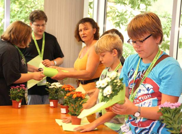 Mehrere Personen verpacken und betrachten Chrysanthemen in Töpfen.