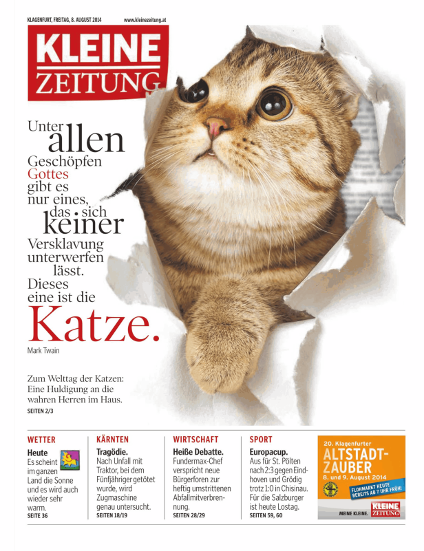 Eine Katze blickt durch ein Loch in einer Zeitung der „Kleinen Zeitung“.