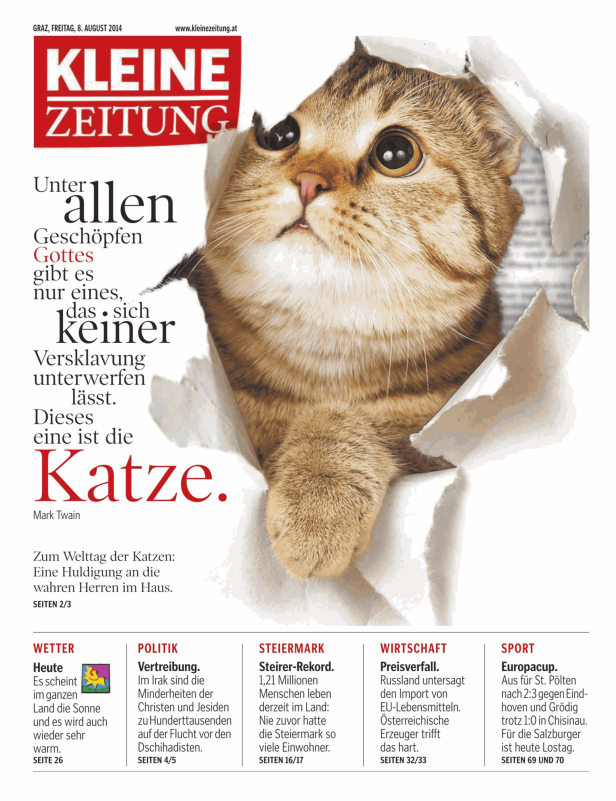 Eine Katze blickt durch ein Loch in einer Zeitungsseite der „Kleinen Zeitung“.