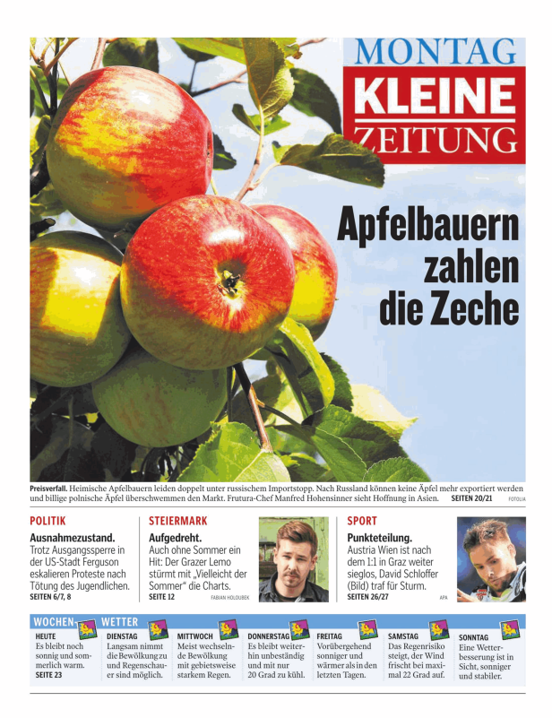 Mehrere rote und gelbe Äpfel hängen an einem Baum.