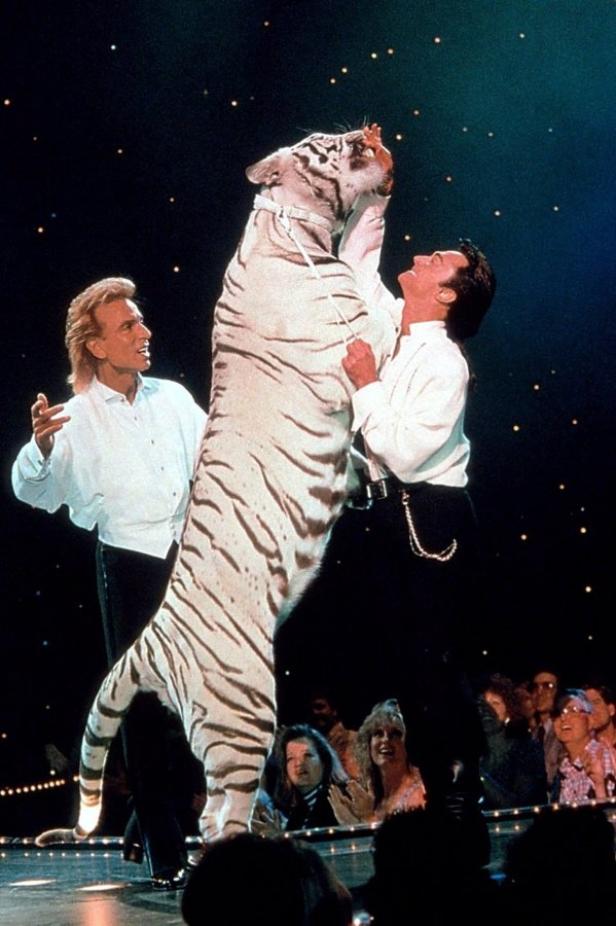 Siegfried und Roy mit einem weißen Tiger während einer ihrer Shows.