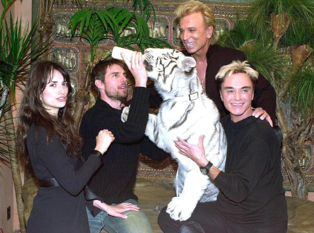 Tom Cruise füttert einen weißen Tiger mit der Flasche, während Penélope Cruz und Siegfried & Roy posieren.