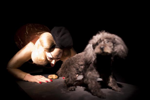 Eine Frau mit extravaganten Make-up und ein Pudel betrachten ein Hundekuchen.