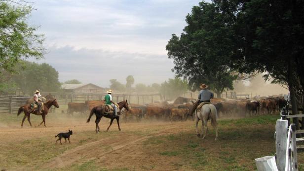 Paraguay: Landpartie ins Paradies