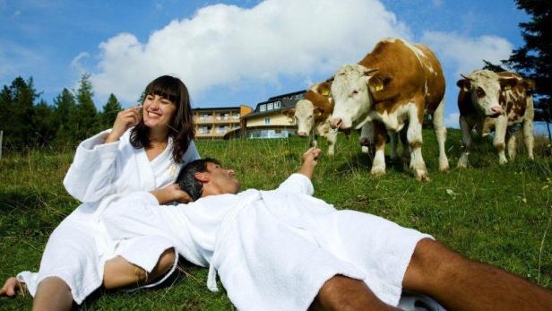 Ein Paar in Bademänteln entspannt auf einer Wiese, während Kühe grasen.
