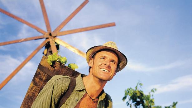 Ein Mann mit Hut trägt einen Weinfass-Rucksack mit Trauben vor einer Windmühle.