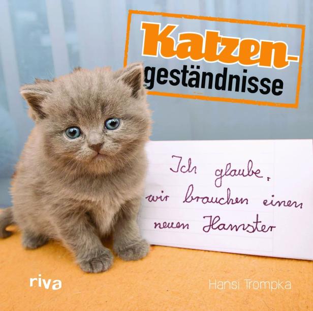 Katzenbuch: Klartext zur Unschuldsmiene