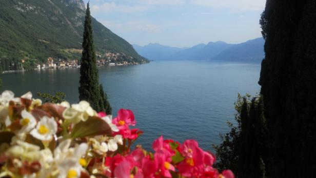 Blick über den Comer See mit Bergen und blühenden Blumen im Vordergrund.