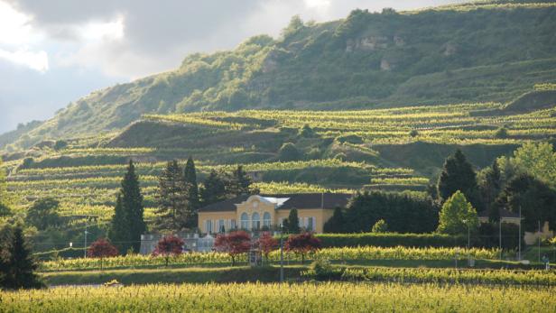 Wein-Genuss-Tipps fürs Wochenende