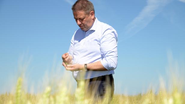 Ein Mann in einem Feld betrachtet eine Getreidepflanze.