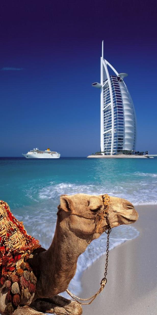 Ein Kamel am Strand mit Blick auf das Burj Al Arab Hotel und ein Kreuzfahrtschiff in Dubai.
