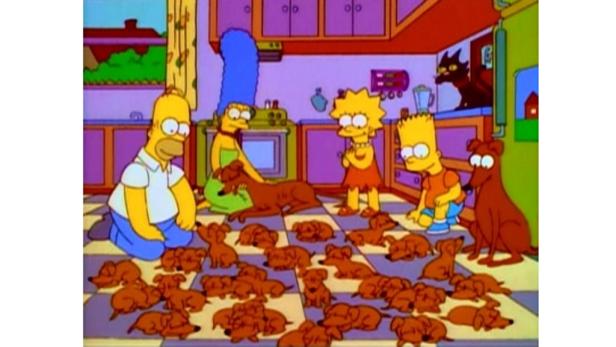 Die Simpsons sind in der Küche, umgeben von vielen kleinen Windhunden.