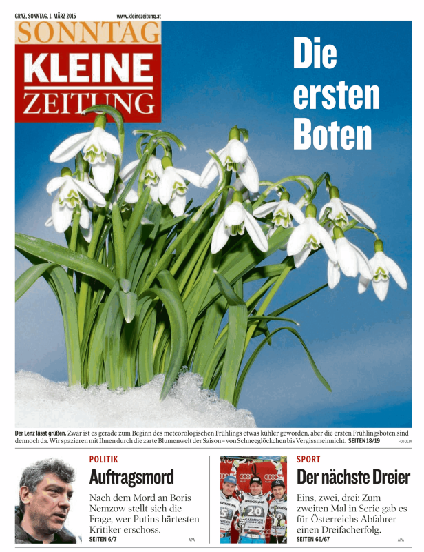 Schneeglöckchen blühen im Schnee, aufgenommen für die „Kleine Zeitung“.