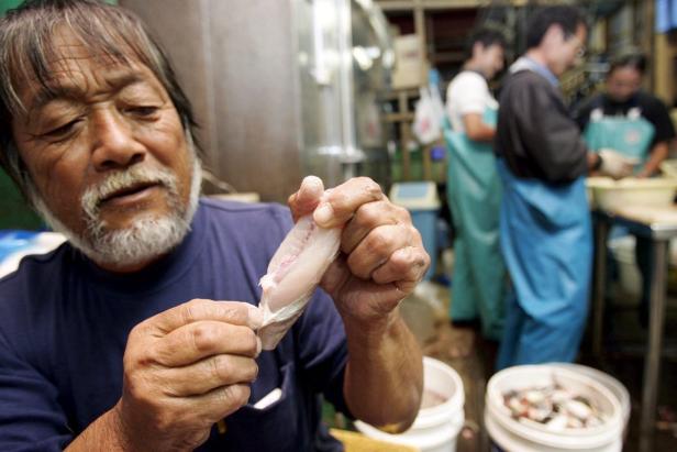 Kugelfisch: Warum Fugu tödlich ist