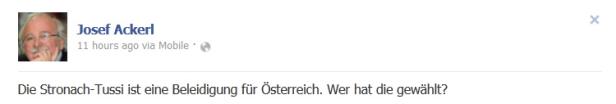 Die Stronach-Tussi ist eine Beleidigung für Österreich. Wer hat die gewählt?