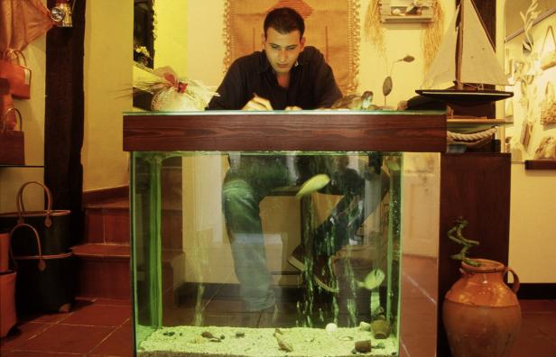 Ein Mann steht hinter einem Tresen, in den ein Aquarium eingelassen ist.