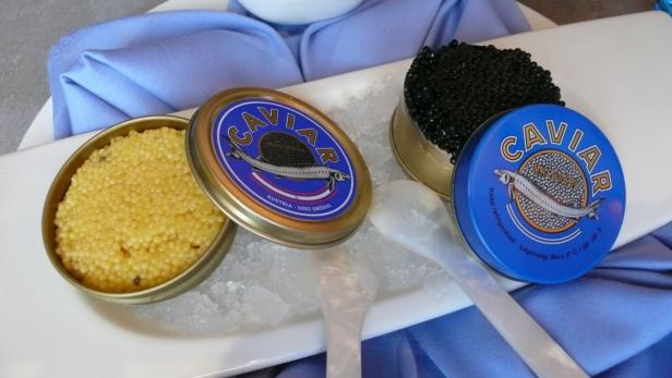 Kaviar verstehen