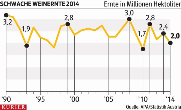 Wein: Mehr Arbeit für weniger Ertrag