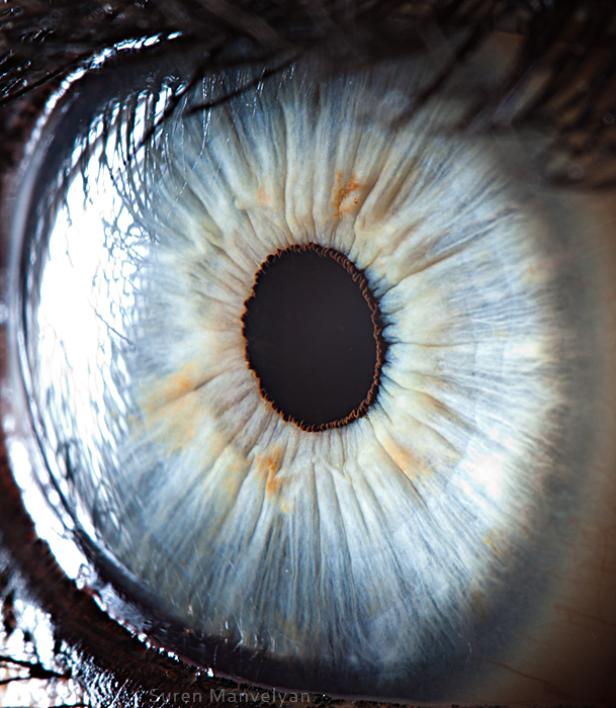 Nahaufnahme eines menschlichen Auges mit hellblauer Iris.