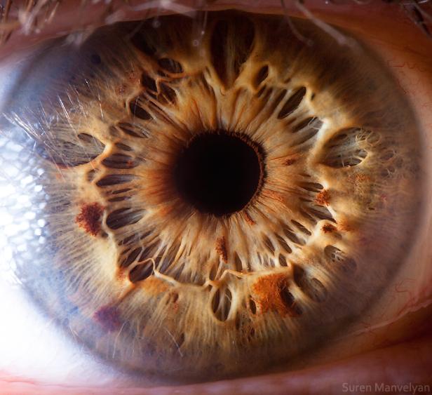 Nahaufnahme eines menschlichen Auges mit brauner Iris.