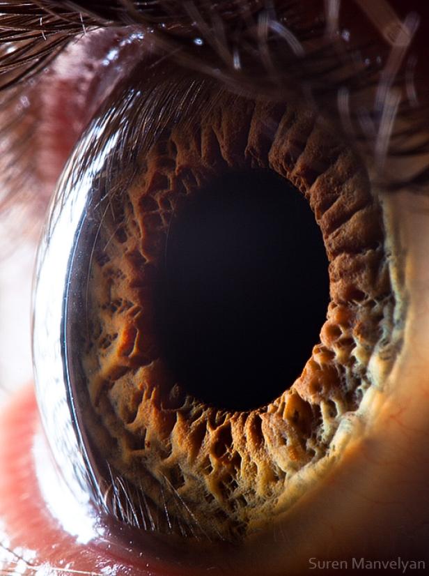 Eine Nahaufnahme eines menschlichen Auges mit brauner Iris.