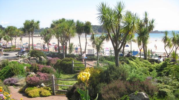 Ein Blick auf einen Sandstrand mit Palmen und bunten Blumen im Vordergrund.