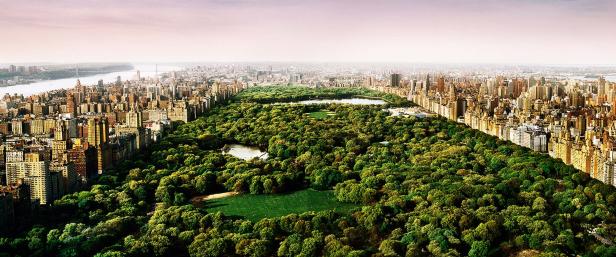 Luftaufnahme des Central Parks in New York City, umgeben von Wolkenkratzern.