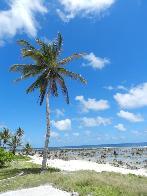 Nauru: Wie der Reichtum ein Land zerstörte