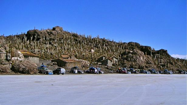 Auf dem Salar de Uyuni stehen Häuser und viele Kandelaber-Kakteen auf einem Hügel.