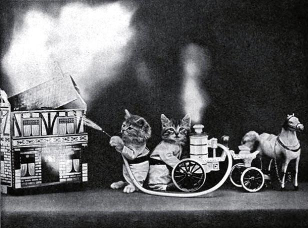 Zwei Katzen in Uniformen löschen mit einem Spielzeug-Feuerwehrauto ein brennendes Puppenhaus.