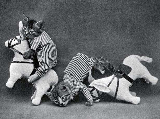 Zwei Kätzchen in gestreifter Kleidung spielen mit Spielzeugpferden.