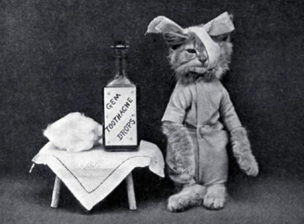 Eine verkleidete Katze mit Kopfverband steht neben einer Flasche „Gem Toothache Drops“.