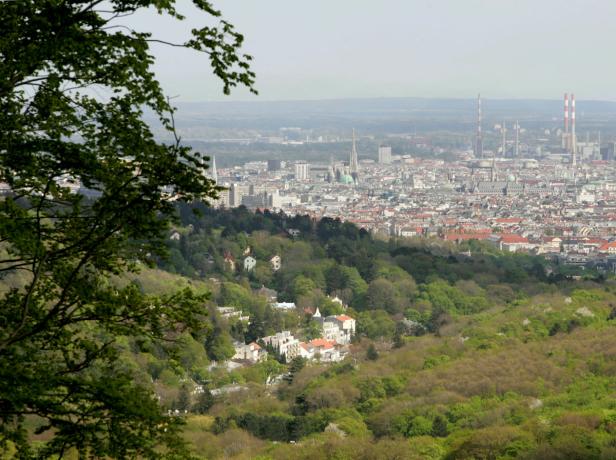 Blick über grüne Hügel auf Wien mit dem Stephansdom in der Ferne.