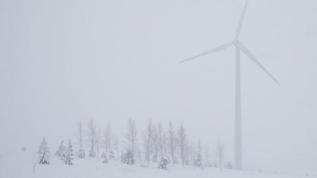 Ein Windrad und einige Bäume sind im Schneesturm zu sehen.
