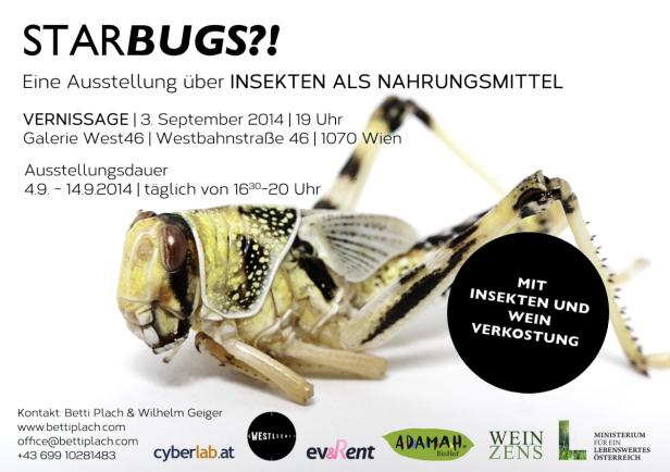 Insekten auf dem Teller