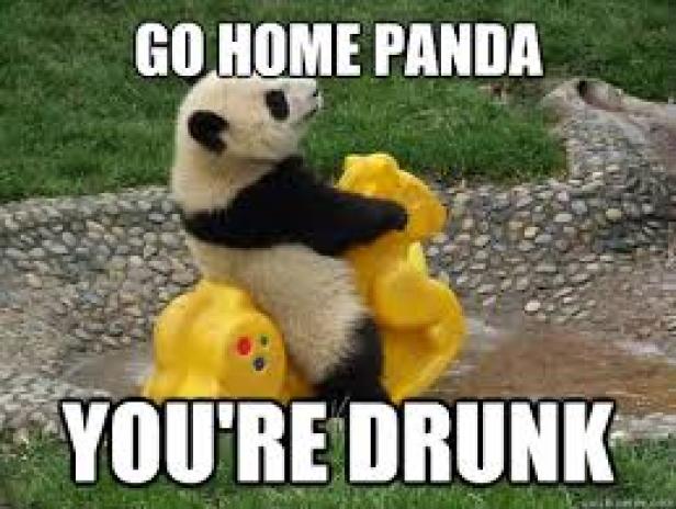 Ein Panda umarmt eine gelbe Plastikfigur, mit dem Text „Go Home Panda, You're Drunk“.