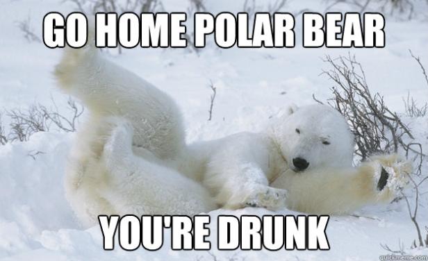 Ein Eisbär liegt im Schnee.