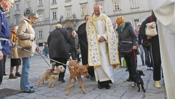 Ein Priester segnet Hunde und ihre Besitzer auf einem gepflasterten Platz.