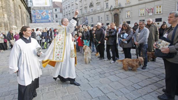 Ein Priester segnet Hunde und ihre Besitzer auf einem Platz.