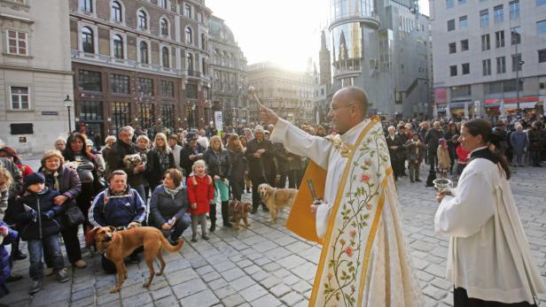 Ein Priester segnet eine Menschenmenge und ihre Haustiere auf einem Platz in Wien.