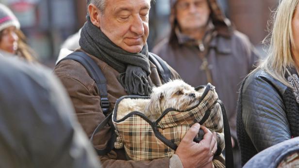 Ein Mann trägt einen kleinen Hund in einer karierten Tragetasche.
