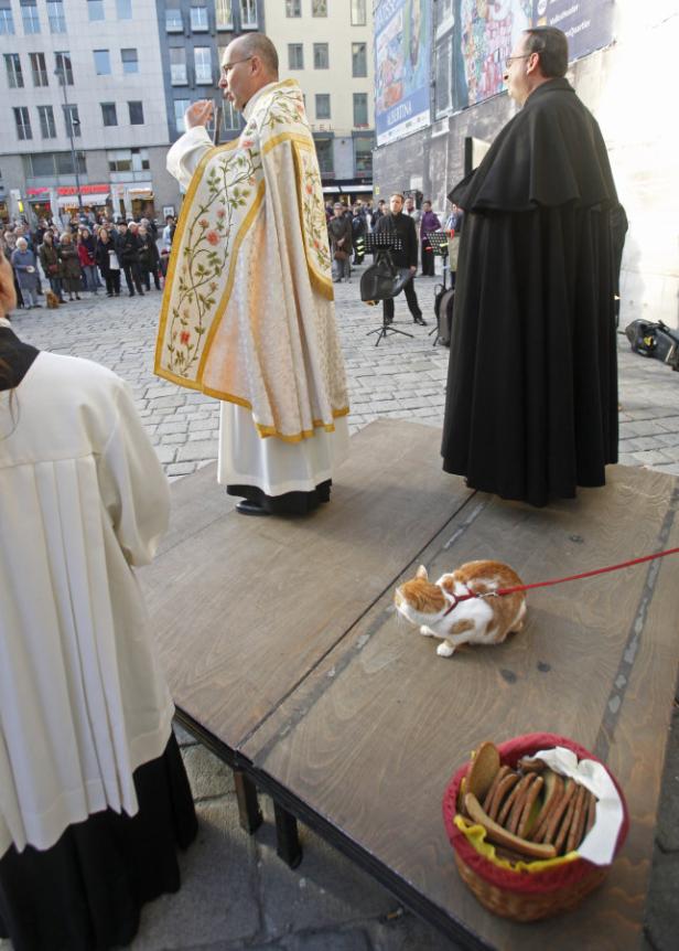 Ein Priester hält eine Rede, während eine Katze an der Leine auf einem Tisch sitzt.