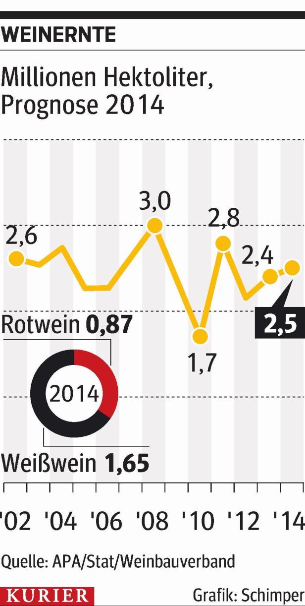 Mehr Veltliner für den Rest der Welt