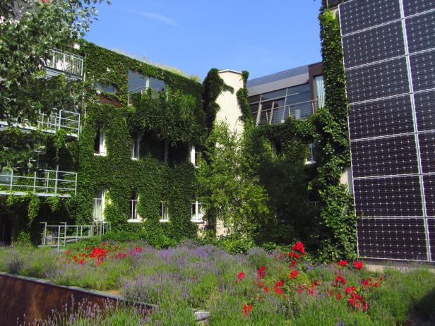 Ein Gebäude mit Solarpaneelen und einer Fassade, die mit Efeu bewachsen ist, vor einem Blumenbeet.