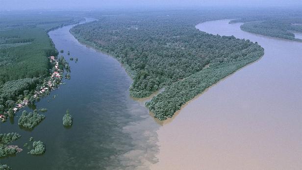 "Amazonas von Europa" in Gefahr