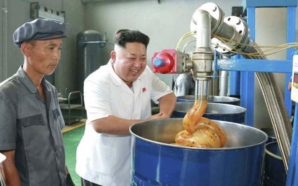 Kim Jong-un betrachtet in einer Fabrik eine Maschine, die eine gelbliche Substanz in ein Fass pumpt.