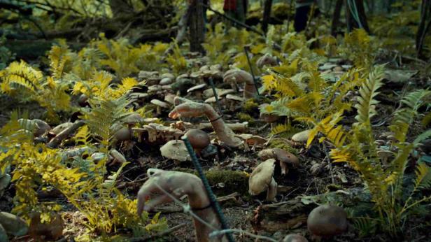Hände ragen zwischen Pilzen und Farnen aus dem Waldboden.