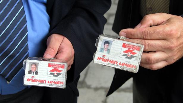Wien: Schwarzkappler bekommen Kopfgeld