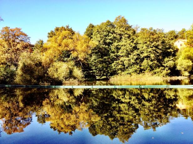 Schwedischer Herbst