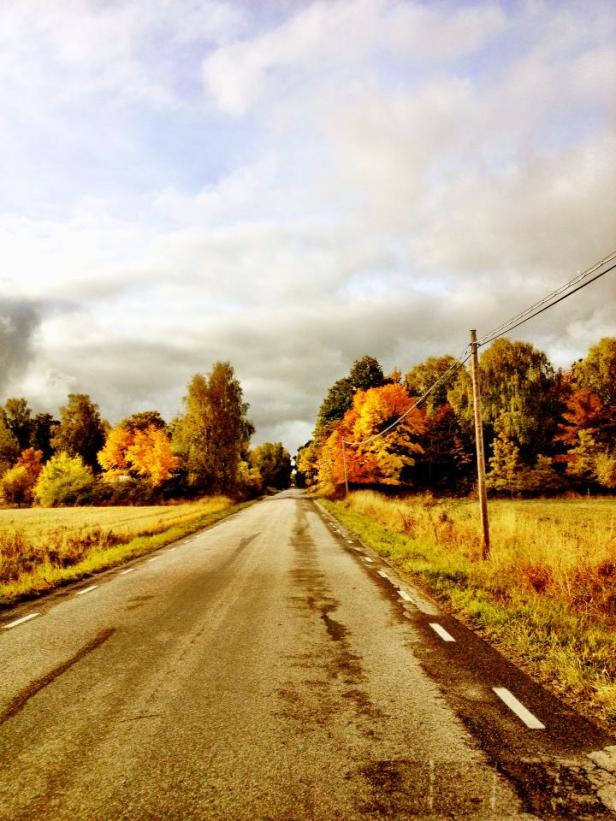 Schwedischer Herbst